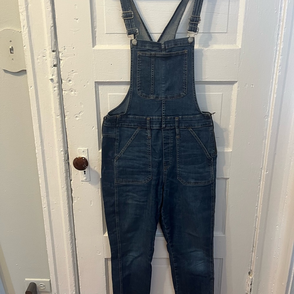 Madewell Skinny Overalls: Eco Edition - Picture 6 of 7